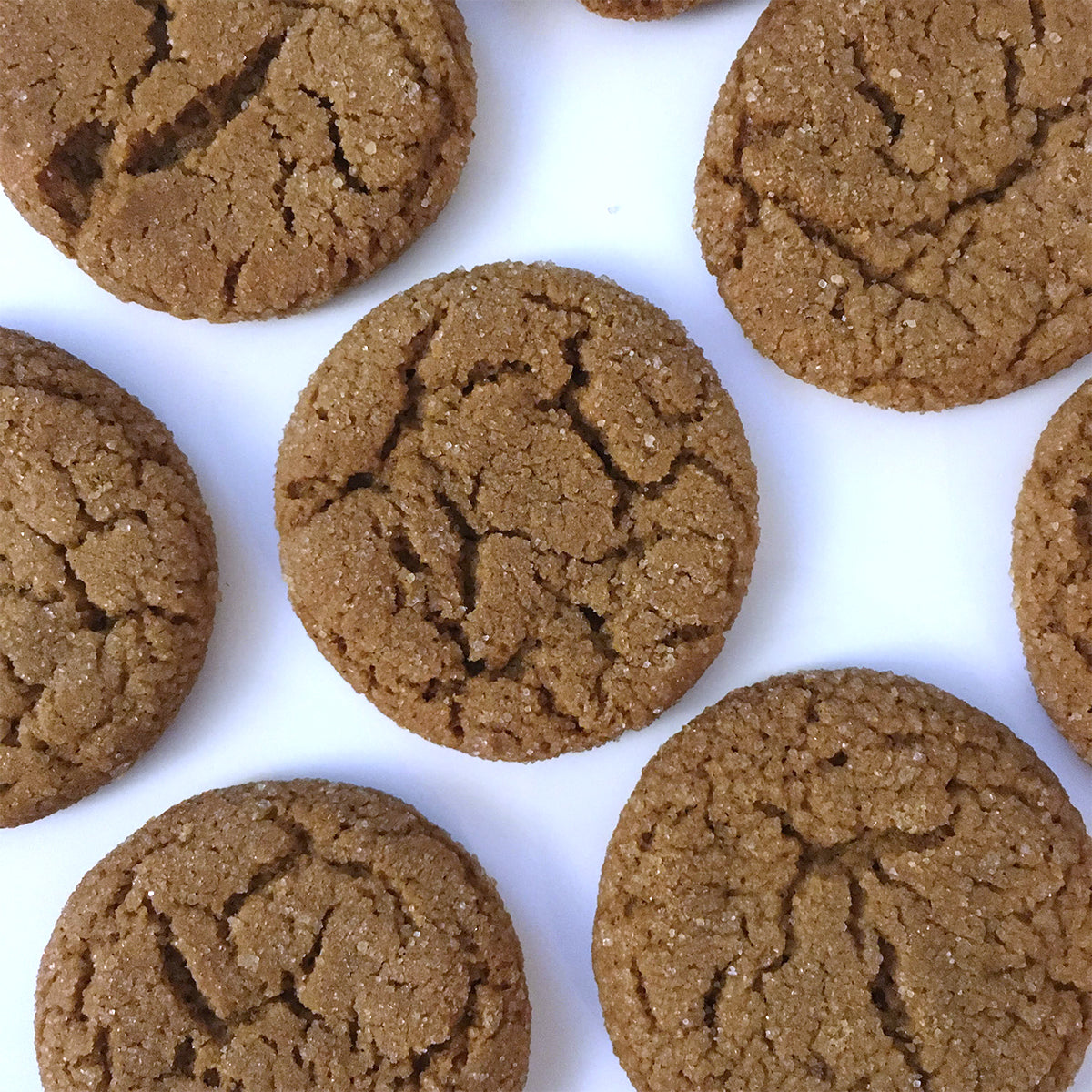 Molasses Cookies